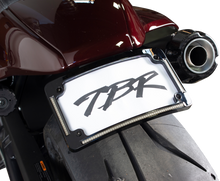 Load image into Gallery viewer, Sportster S Fender Eliminator Kit W/ Lp Light