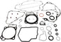 Complete Gasket Set With Oil Seals