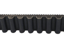 Load image into Gallery viewer, 1-1/8 inch BDL Rear Belt 125 Tooth