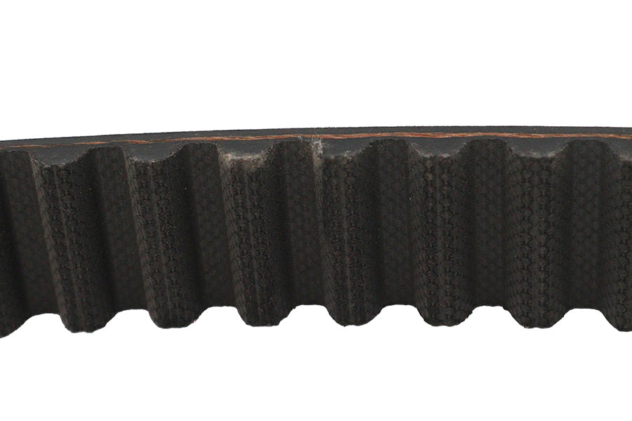 1-1/8 inch Carlisle Panther Rear Belt 125 Tooth