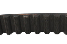 Load image into Gallery viewer, 1-1/8 inch Carlisle Panther Rear Belt 125 Tooth