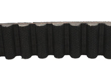 Load image into Gallery viewer, 1-1/8 inch Carlisle Panther Rear Belt 128 Tooth