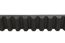 Load image into Gallery viewer, 1-1/8 inch Carlisle Panther Rear Belt 133 Tooth
