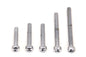 Sprocket Kick Starter Cover Screw Chrome