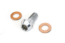 Load image into Gallery viewer, Brake Hose Banjo Bolt Allen Type 10mm