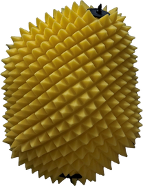 Air Filter Proline