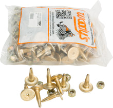 Load image into Gallery viewer, Gold Digger Carbide Traction Master Stud 1.005" 96/Pk