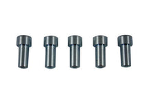 Load image into Gallery viewer, Mechanical Brake Drum Dowel Pin Set Rear