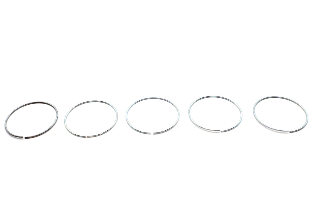 Rear Brake Caliper Piston Retaining Ring