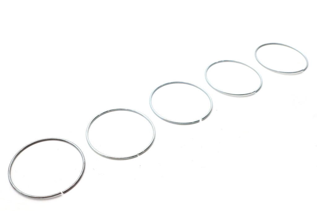 Piston Ring for Rear Brake Caliper