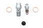 Front Caliper Banjo Bolt and Bleeder Kit Chrome