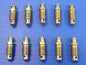 Bleeder Screw for Rear Caliper