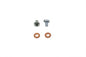 Fork Drain Screws
