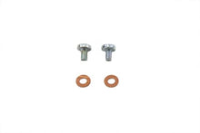 Load image into Gallery viewer, Fork Drain Screws
