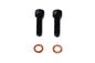 Fork Damper Tube Screw and Washer