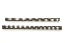 Load image into Gallery viewer, 41mm Fork Tube Spring Set