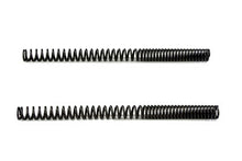 Load image into Gallery viewer, 41mm Fork Tube Spring Set