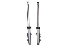 Load image into Gallery viewer, Factory Sample Dual Disc 41mm Fork Slider Assembly