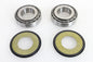 Steering Stem Bearing Kit