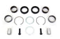 41mm Fork Bushing Kit
