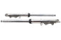 Dual Disc 41mm Fork Slider Assembly