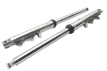 Load image into Gallery viewer, Dual Disc 41mm Fork Slider Assembly