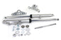 41mm Fork Assembly with Polished Sliders