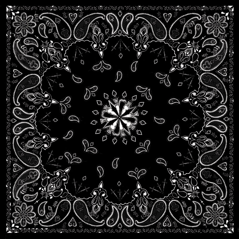 Bandanna Black Paisley