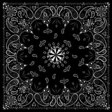 Load image into Gallery viewer, Bandanna Black Paisley