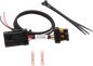 Tail Light Power Harness Lic. Plate & Whip Lights Pol