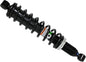Gas Shock Rear