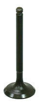 Load image into Gallery viewer, Intake Valve