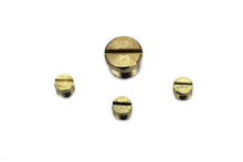 Load image into Gallery viewer, Carburetor Idle Plug and Screw Kit