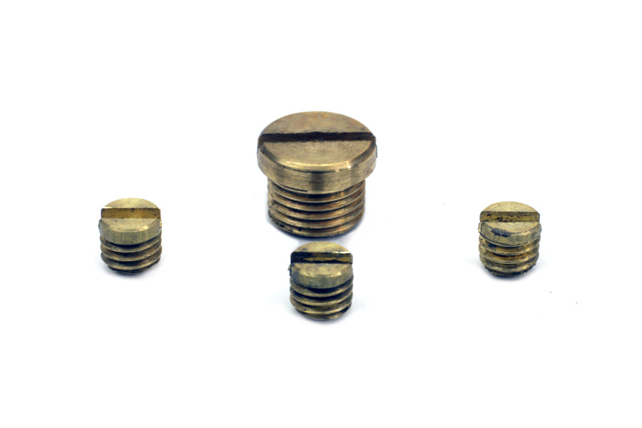 Carburetor Idle Plug and Screw Kit