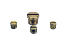 Load image into Gallery viewer, Carburetor Idle Plug and Screw Kit