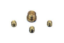 Load image into Gallery viewer, Carburetor Idle Plug and Screw Kit
