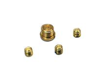 Load image into Gallery viewer, Carburetor Idle Plug and Screw Kit