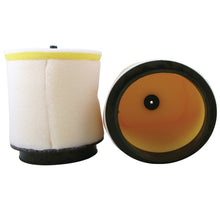Load image into Gallery viewer, Air Filter Hon Trx700xx