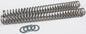 Fork Spring 0.80kg