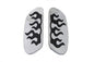 Passenger Footboard Set with Flame Design