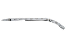 Load image into Gallery viewer, Rigid  inchHoly inch Chain Guard Chrome