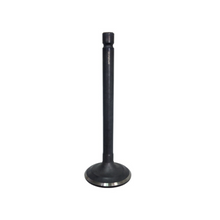Load image into Gallery viewer, Intake Valve