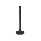 Intake Valve