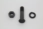 Kick Starter Crank Clamp Bolt