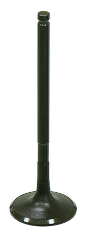 Exhaust Valve