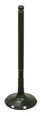 Exhaust Valve