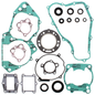Complete Gasket Set With Oil Seals