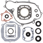 Complete Gasket Set With Oil Seals