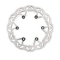 Rear Disc