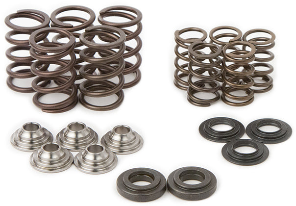 Raptor Spring Kit/ Ti Retainers